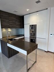 The Scotts Tower (D9), Condominium #560965441